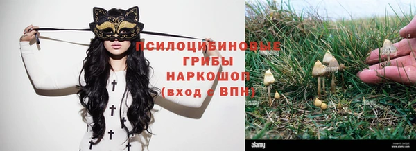 герыч Алзамай