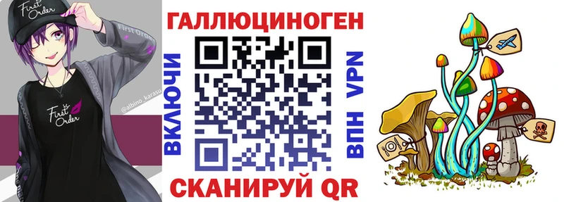 Псилоцибиновые грибы Cubensis  купить   Кемерово 