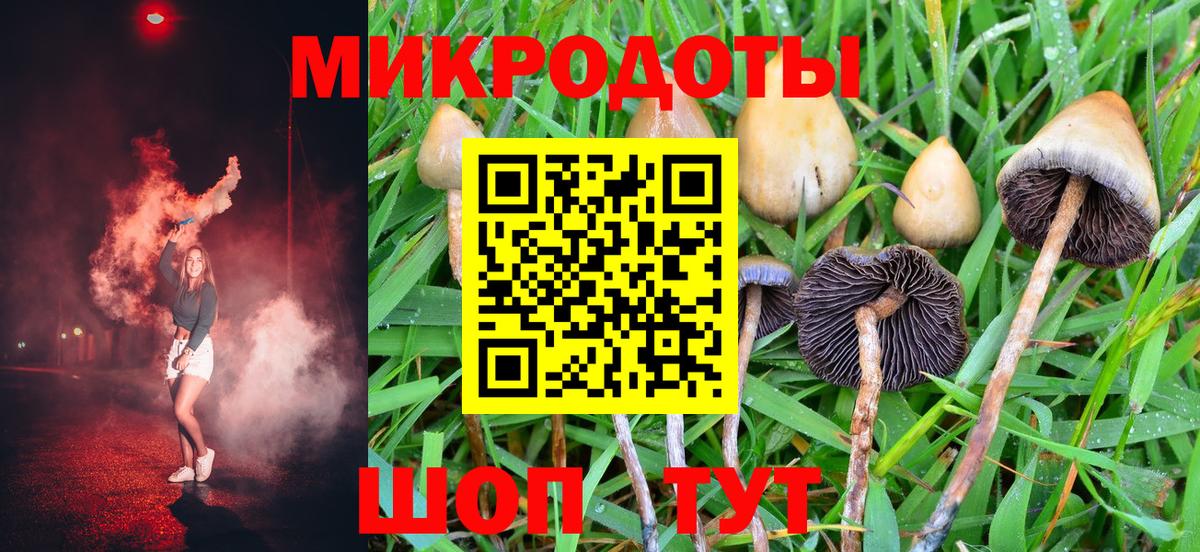 Псилоцибиновые грибы GOLDEN TEACHER  дарнет шоп  Кемерово  Вход с VPN 